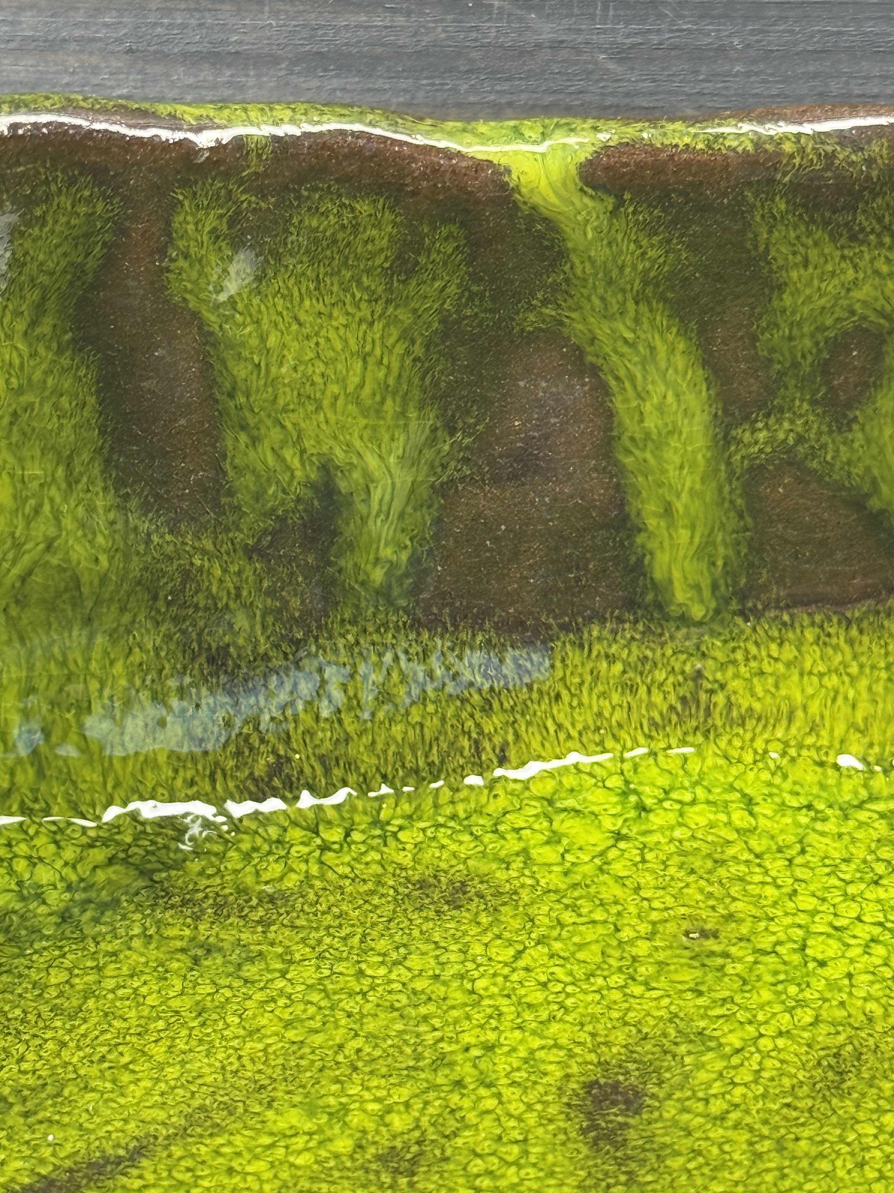 Patera - obrazek 2